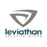 Leviathan Security Group logo