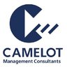 CAMELOT Management Consultants logo