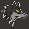 Dark Wolf Solutions logo